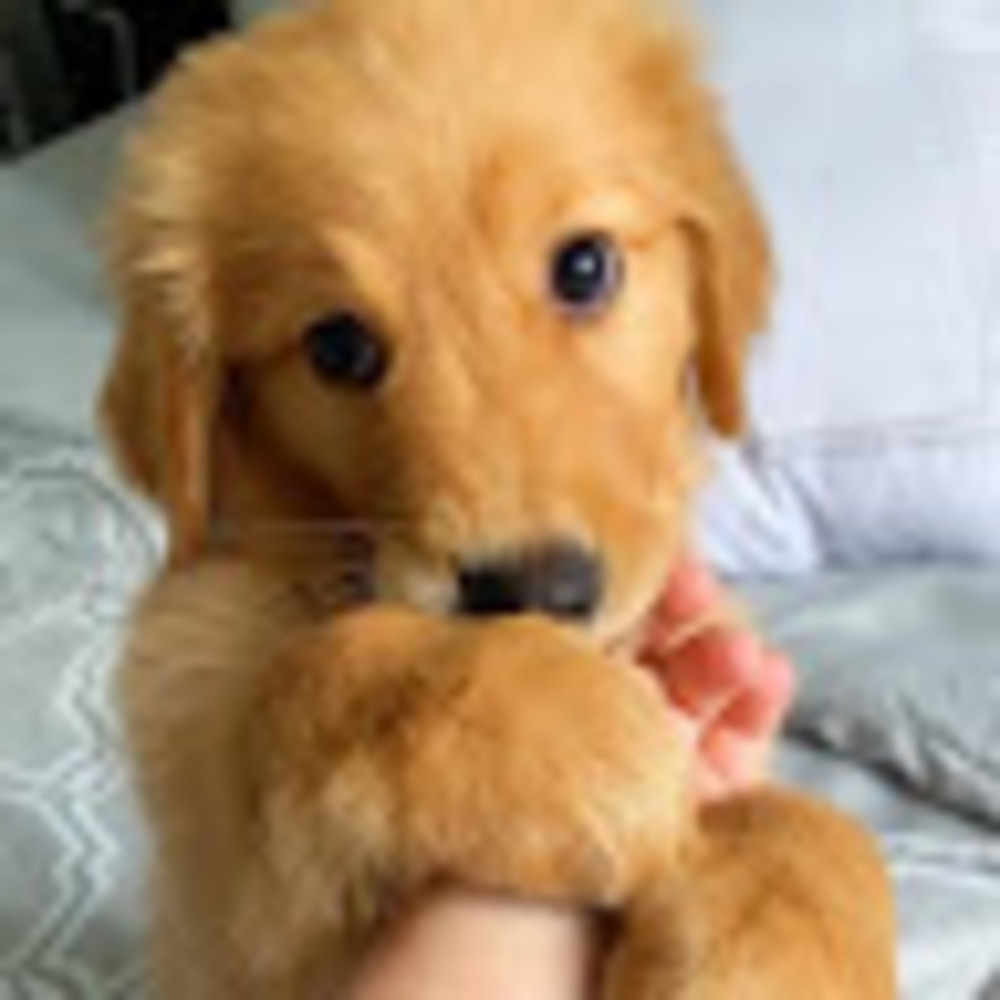 Meet your Posher, Makayla